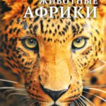 Детская энциклопедия. Животные Африки.