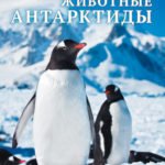 Детская энциклопедия. Животные Антарктиды.