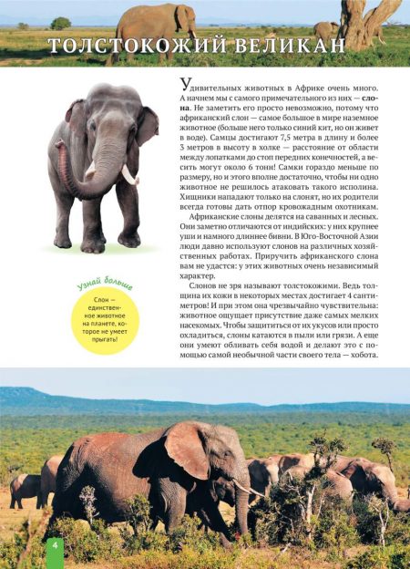 Енциклопедія. Животные Африки (рос) - Зображення 4