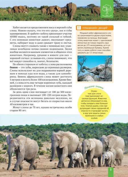 Енциклопедія. Животные Африки (рос) - Зображення 5