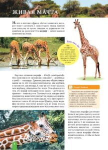 Енциклопедія. Животные Африки (рос) - Зображення 6