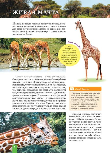 Енциклопедія. Животные Африки (рос) - Зображення 6