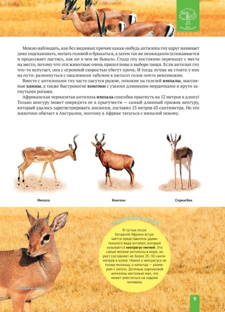 Енциклопедія. Животные Африки (рос) - Зображення 9