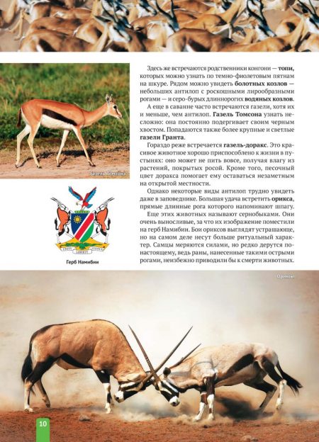 Енциклопедія. Животные Африки (рос) - Зображення 10