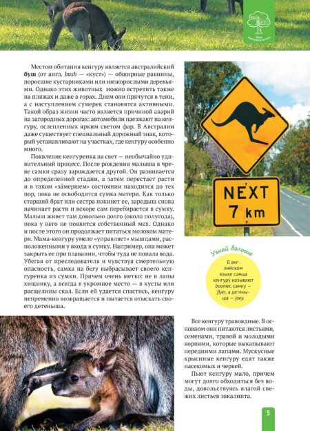 Енциклопедія. Животные Австралии (рос) - Зображення 5