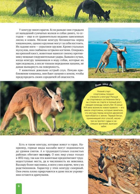 Енциклопедія. Животные Австралии (рос) - Зображення 6