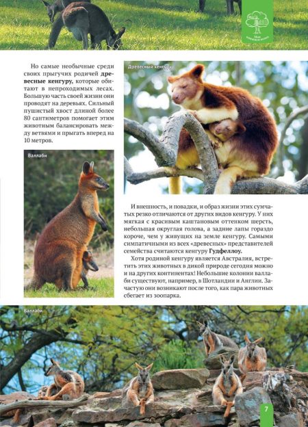 Енциклопедія. Животные Австралии (рос) - Зображення 7