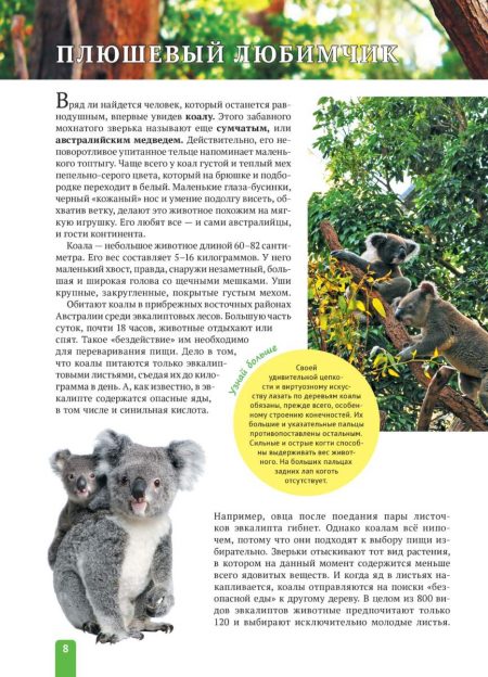 Енциклопедія. Животные Австралии (рос) - Зображення 8