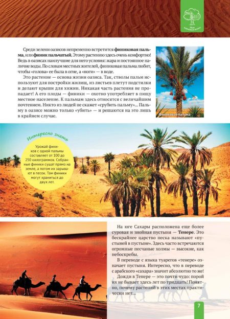Енциклопедія. Растения Африки (рос) - Зображення 7