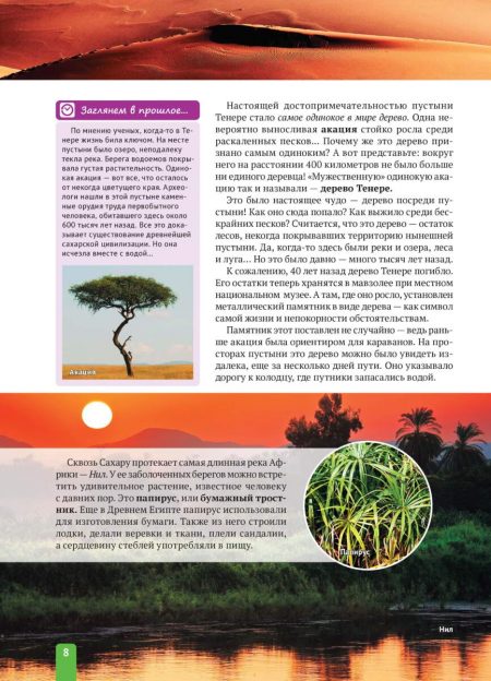 Енциклопедія. Растения Африки (рос) - Зображення 8