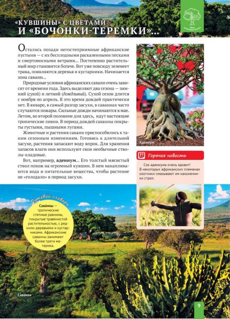 Енциклопедія. Растения Африки (рос) - Зображення 9