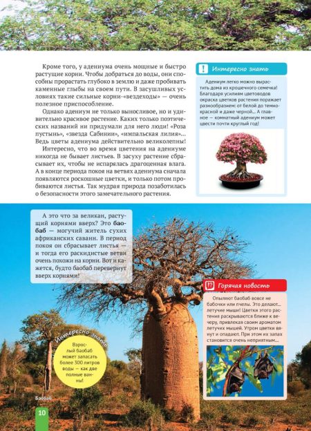 Енциклопедія. Растения Африки (рос) - Зображення 10