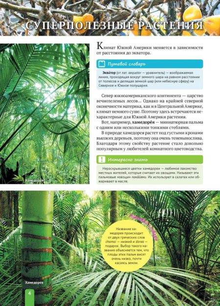 Енциклопедія. Растения Южной  Америки (рос) - Зображення 4