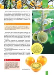 Енциклопедія. Растения Южной Америки (рос) - Зображення 5