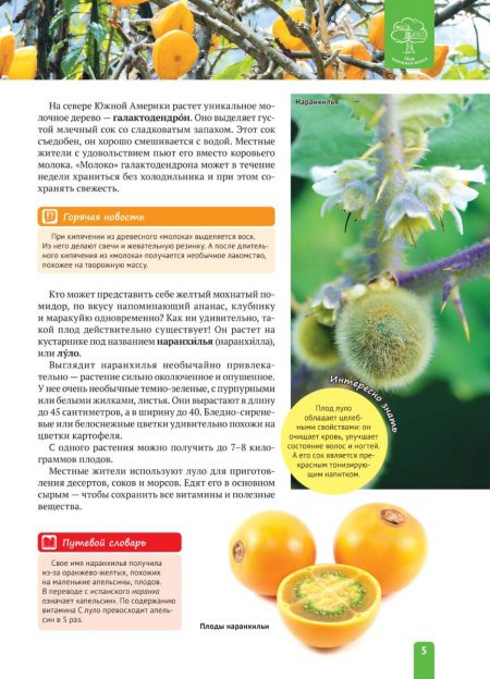 Енциклопедія. Растения Южной  Америки (рос) - Зображення 5