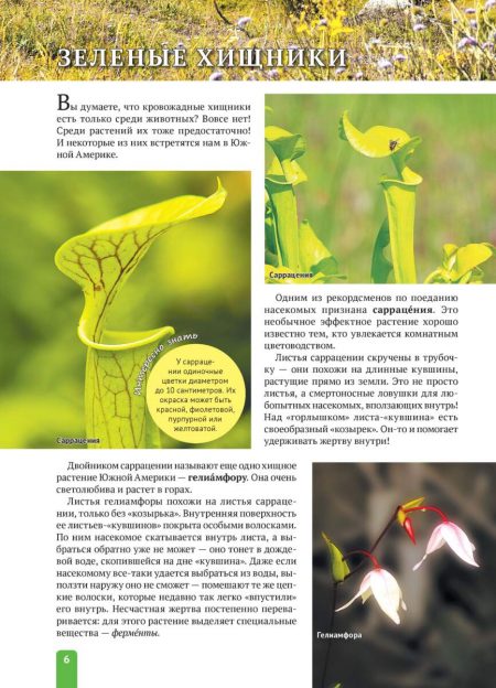 Енциклопедія. Растения Южной  Америки (рос) - Зображення 6