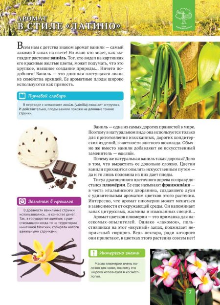 Енциклопедія. Растения Южной  Америки (рос) - Зображення 7