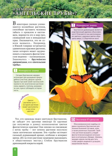 Енциклопедія. Растения Южной  Америки (рос) - Зображення 8