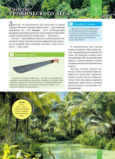 Енциклопедія. Растения Южной  Америки (рос) - Зображення 9