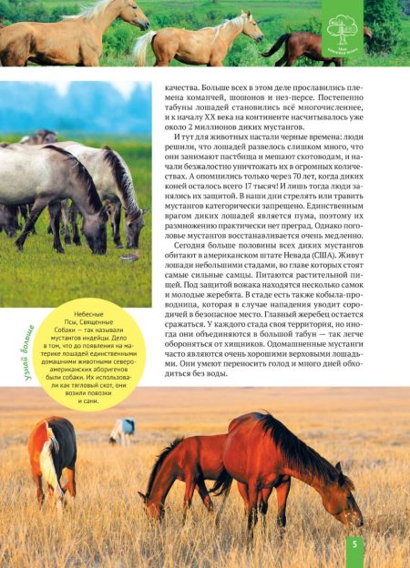 Енциклопедія. Животные Северной Америки (рос) - Зображення 5