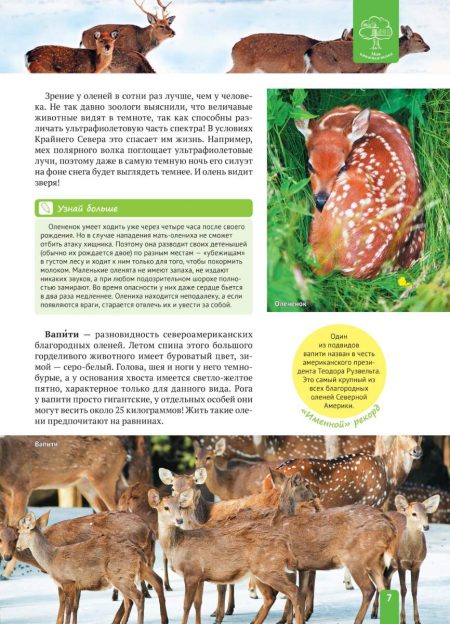 Енциклопедія. Животные Северной Америки (рос) - Зображення 7