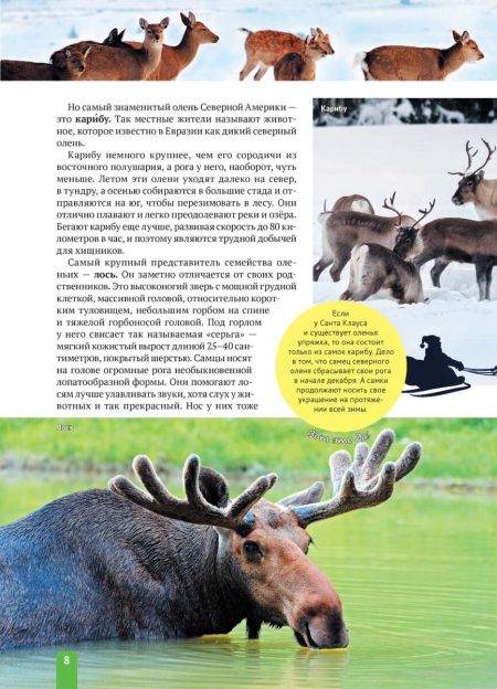 Енциклопедія. Животные Северной Америки (рос) - Зображення 8