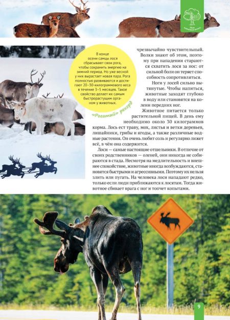 Енциклопедія. Животные Северной Америки (рос) - Зображення 9