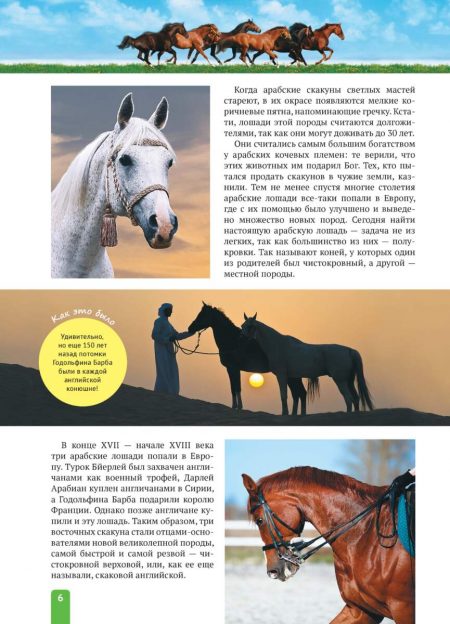 Енциклопедія. Спорт. Верховая езда (рос) - Зображення 6