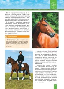 Енциклопедія. Спорт. Верховая езда (рос) - Зображення 7