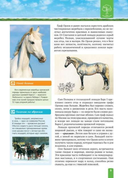 Енциклопедія. Спорт. Верховая езда (рос) - Зображення 9