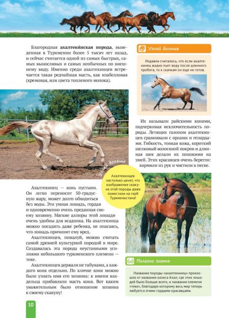 Енциклопедія. Спорт. Верховая езда (рос) - Зображення 10