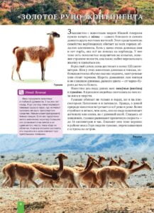 Енциклопедія. Животные Южной Америки (рос) - Зображення 4