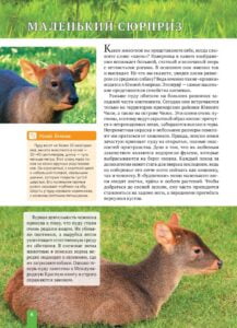 Енциклопедія. Животные Южной Америки (рос) - Зображення 6