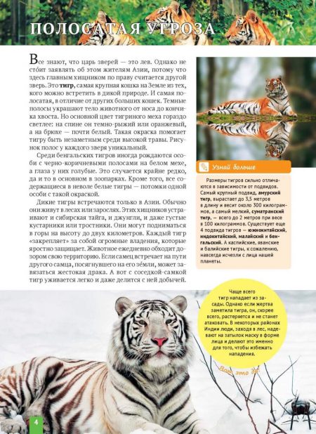 Енциклопедія. Животные Азии (рос) - Зображення 4