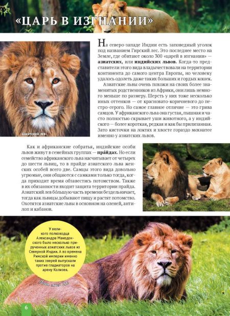 Енциклопедія. Животные Азии (рос) - Зображення 6