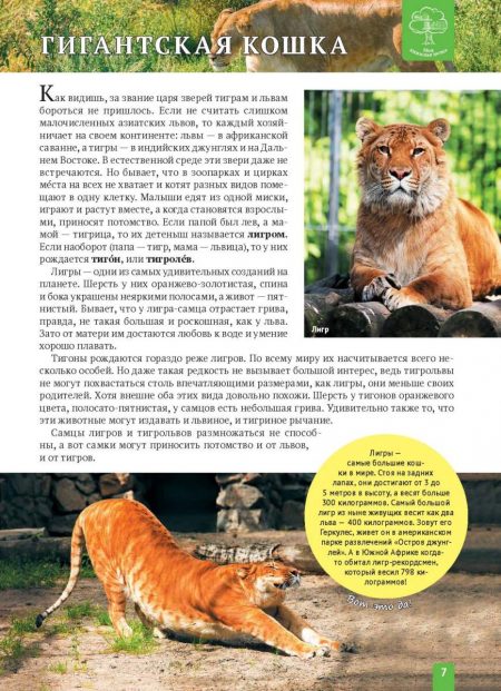 Енциклопедія. Животные Азии (рос) - Зображення 7