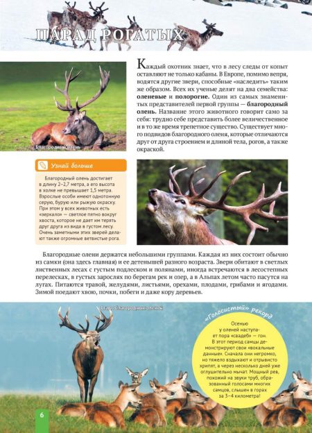 Енциклопедія. Животные Европы (рос) - Зображення 6