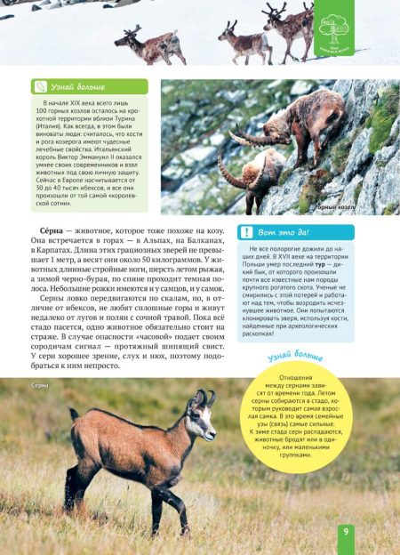 Енциклопедія. Животные Европы (рос) - Зображення 9