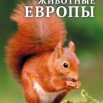 Детская энциклопедия. Животные Европы.
