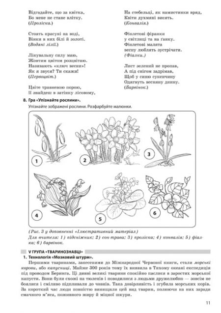 Природознавство - Інтегрований курс проектна діяльність (2 клас) - Зображення 11