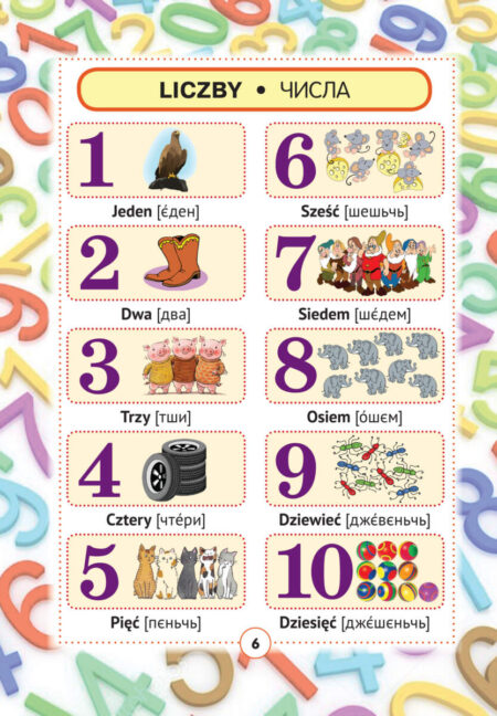 6 Польско-український візуальний словник в малюнках для початкової школи (с транслітерацією) - Зображення 6