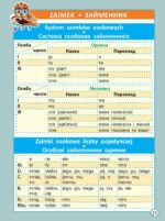 Діагностика на відмінно. Шпаргалка з польської мови. Початкова школа. НУШ - Зображення 5