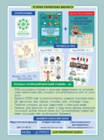 Діагностика на відмінно. Шпаргалка з польської мови. Початкова школа. НУШ - Зображення 7