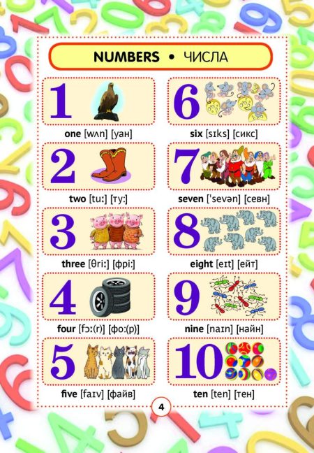 Англо-український візуальний  словник в малюнках 1000 слів (з  ТРАНСЛІТЕРАЦІЄЮ) - Зображення 7